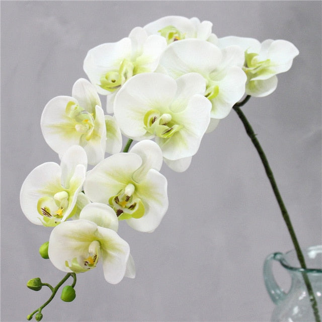SilkTouch Butterfly Orchid Bouquet Realistic Home Decor Flowers With  Lifelike Phalaenopsis & Butterflies, Ideal For Weddings & Events. From  Wzh3310, $4