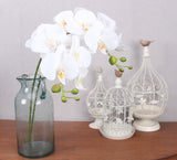Artificial Real Touch Butterfly Orchid - 1 piece