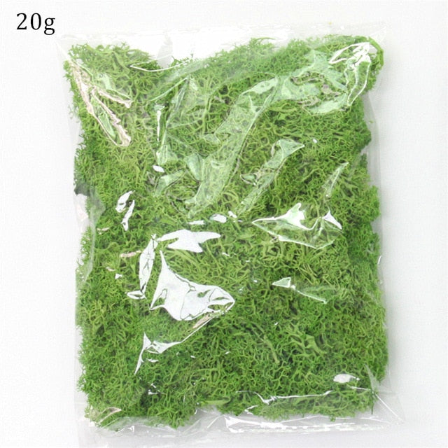 Artificial Everlasting Moss - 1 pack