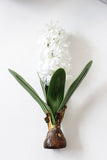 Artificial Hyacinth with Bulbs Plant - 1 piece