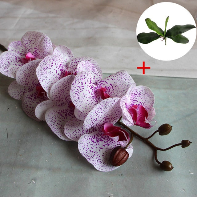 Artificial Real Touch Phalaenopsis Orchid with 1 Large Size Leaf - 1 piece