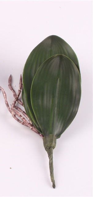 Artificial Real Touch Phalaenopsis Orchid Leaf - 1 piece