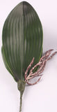 Artificial Real Touch Phalaenopsis Orchid Leaf - 1 piece