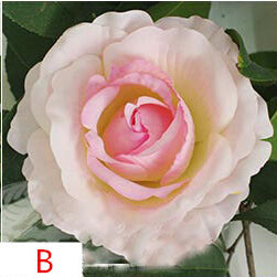 Artificial Silk Rose Flower Heads - 11 pieces