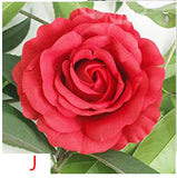 Artificial Silk Rose Flower Heads - 11 pieces